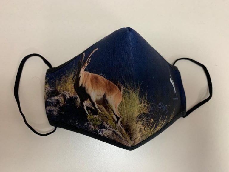 WhatsApp Image 2021-03-16 at 11.50.03